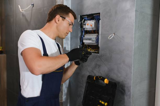 Best Electrical System Inspection  in La Fayette, AL